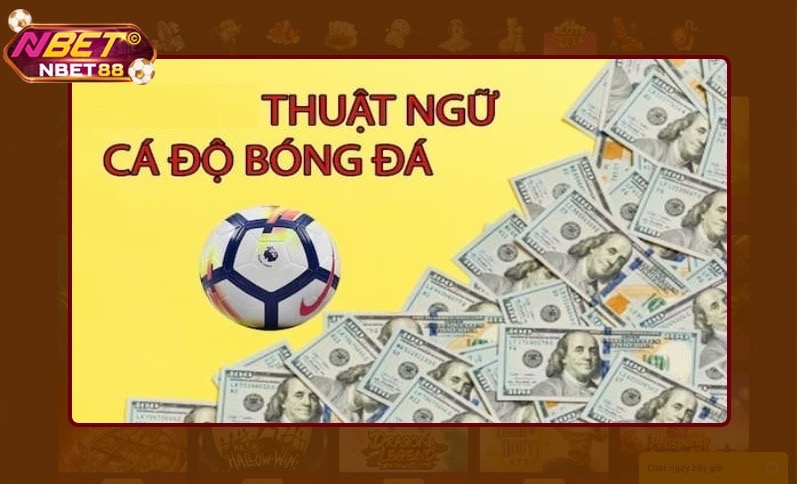Sơ bộ về thuật ngữ trong cá cược bóng đá