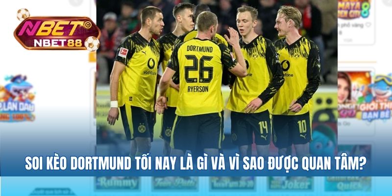 Soi kèo Dortmund tối nay là gì và vì sao được quan tâm?