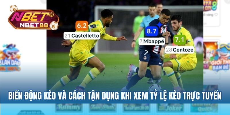 Biến động kèo và cách tận dụng khi xem tỷ lệ kèo trực tuyến